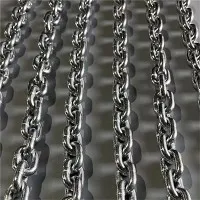 Slachtketting van gelegeerd staal met hoge sterkte